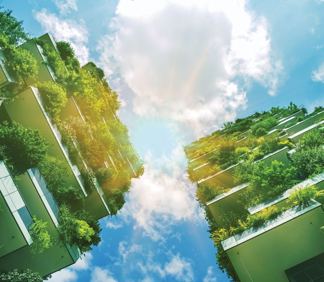 ilbosco city New Capital Misr Italia