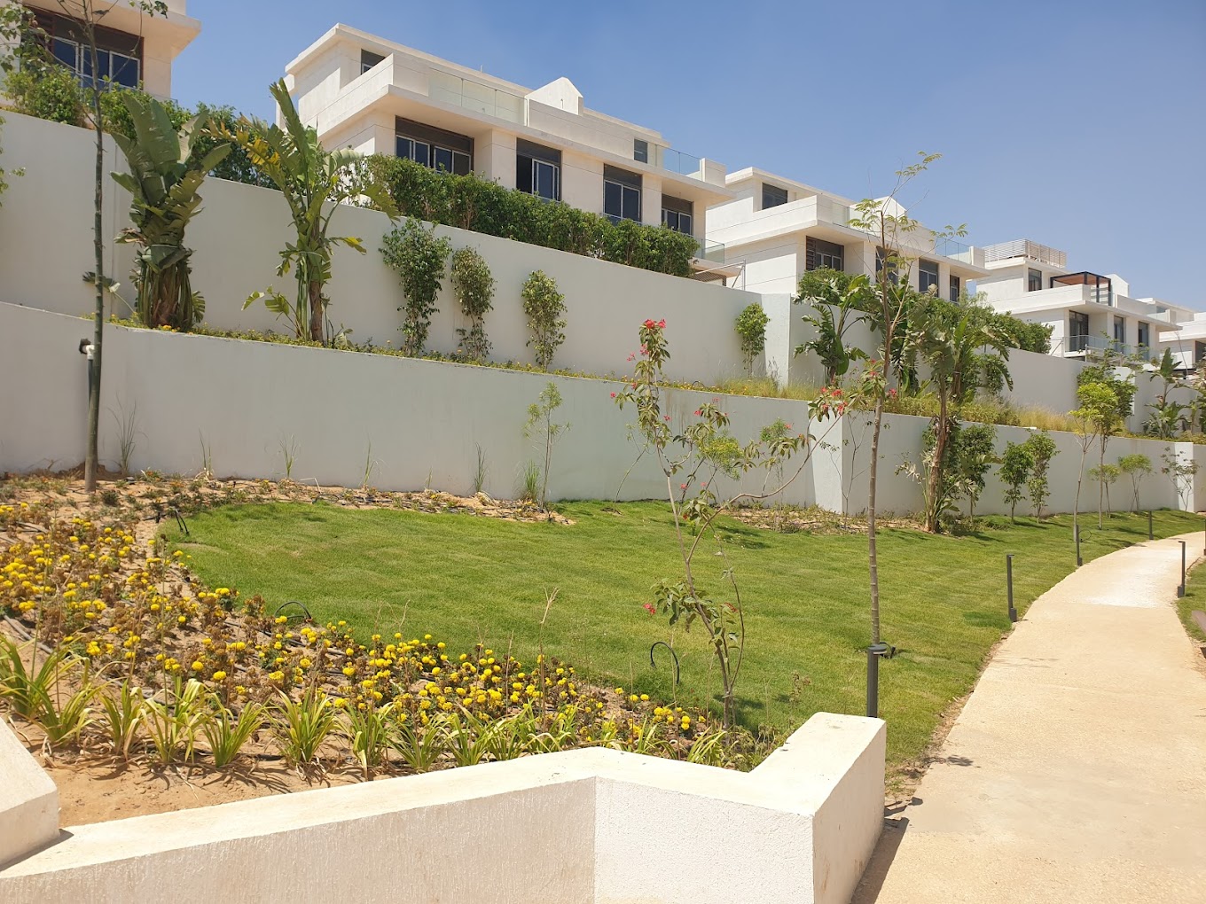 ilbosco city New Capital Misr Italia