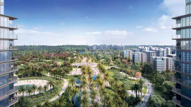 silversands ora North Coast