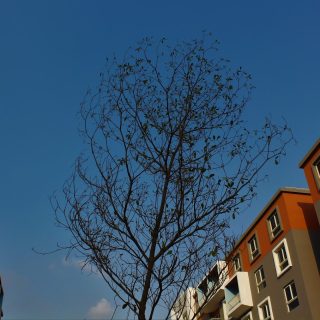 Amorada New Cairo Compound AFAQ