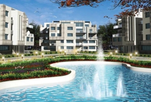 Trillium Compound 6 October El Hakim