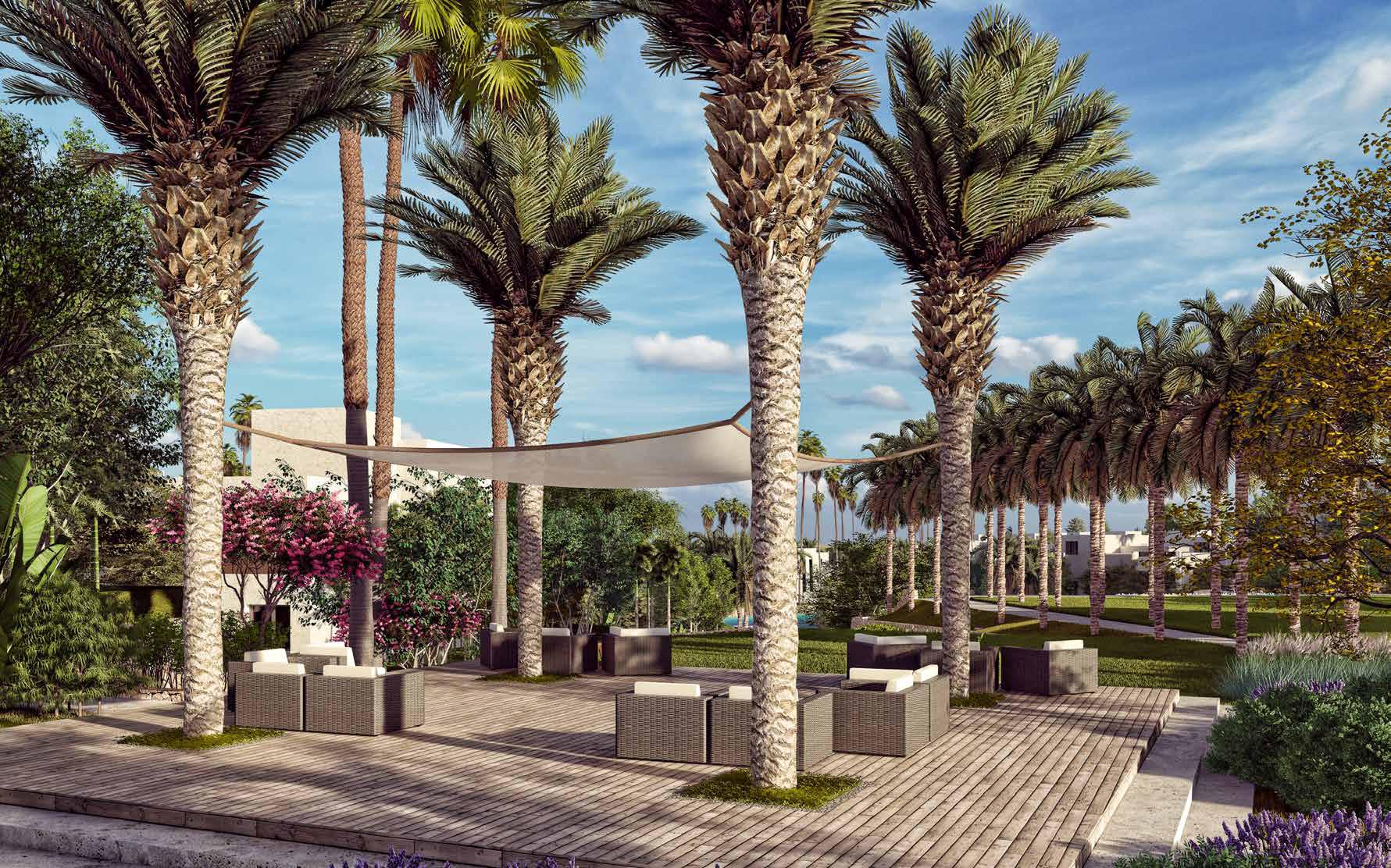 azha resort ain sokhna Madar