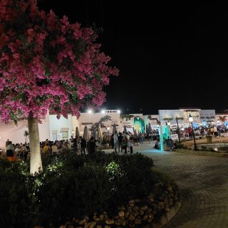 Hacienda Bay North Coast Palm Hills