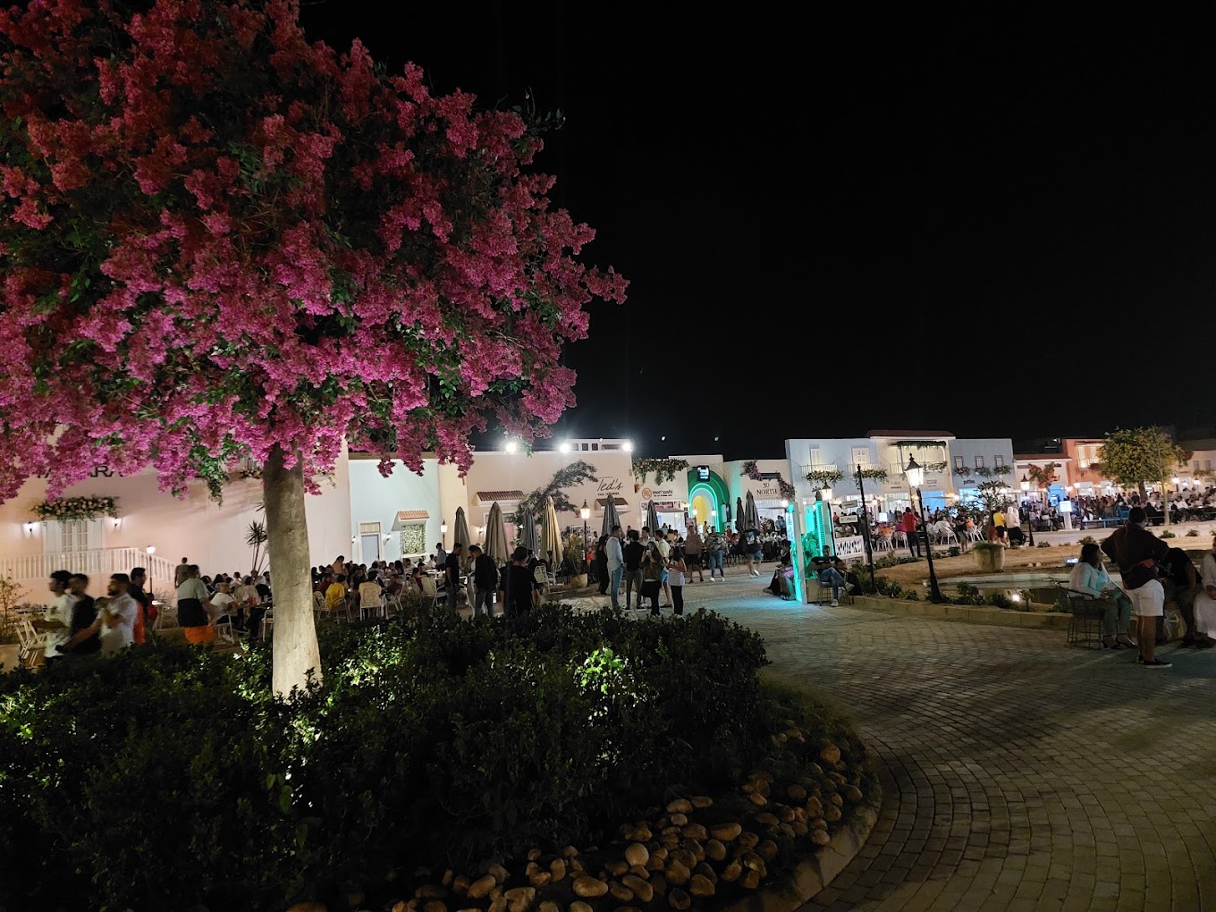 Hacienda Bay North Coast Palm Hills