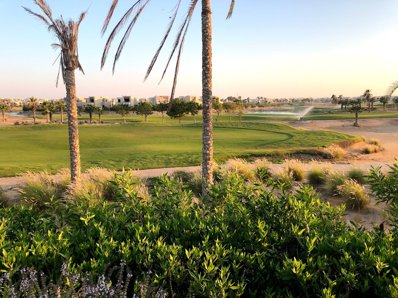 Hacienda Bay North Coast Palm Hills