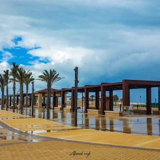 latin district new alamein SED Development