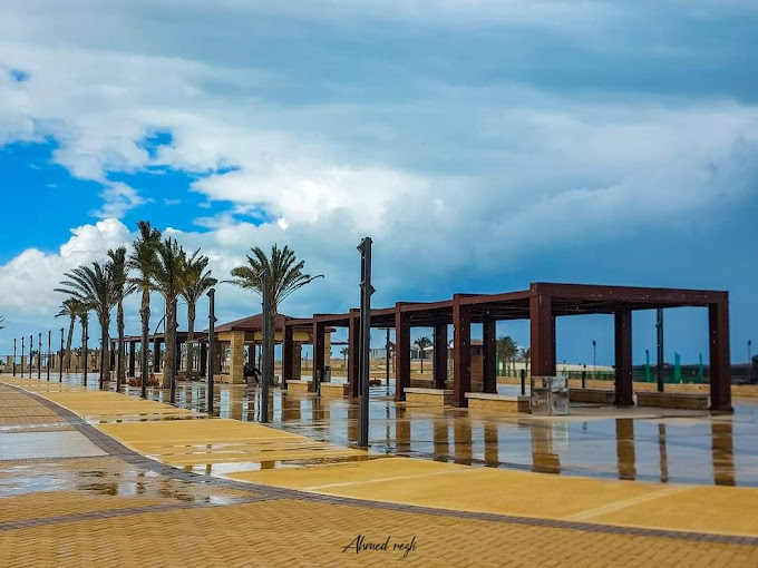 latin district new alamein SED Development