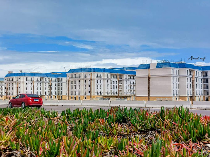 latin district new alamein SED Development