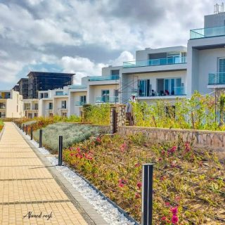 latin district new alamein SED Development