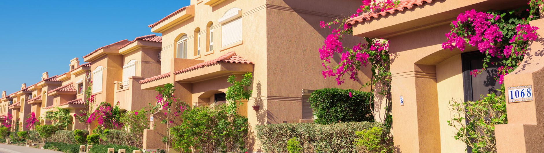 telal el sokhna New Giza