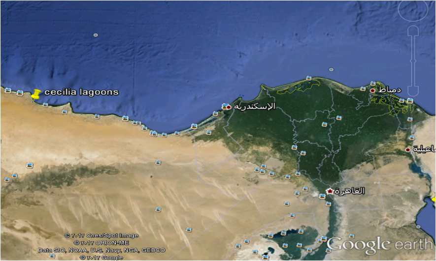 قرية سيسيليا لاجونز الساحل الشمالي ابن سينا – Cecilia lagoons North Coast