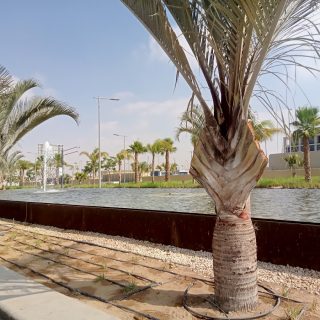 كمبوند البروج الشروق كابيتال جروب – Al Burouj Compound El Shorouk