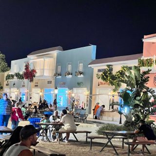 Lakeyard north coast Palm Hills