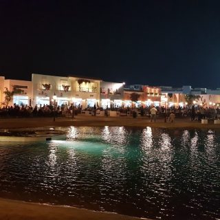 Lakeyard north coast Palm Hills