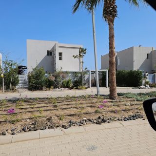 Lakeyard north coast Palm Hills