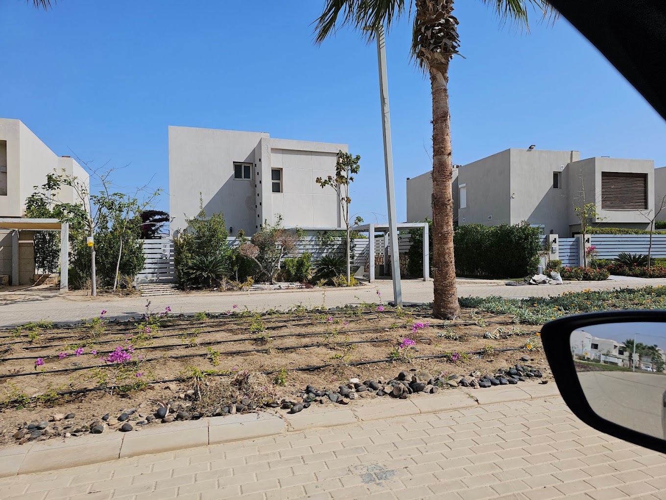 Lakeyard north coast Palm Hills