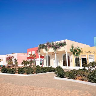 Lakeyard north coast Palm Hills