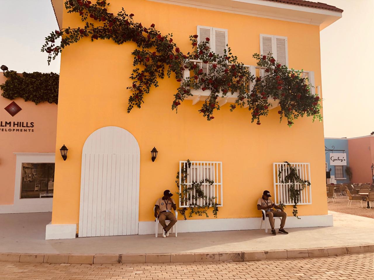 Lakeyard north coast Palm Hills