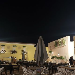 Lakeyard north coast Palm Hills