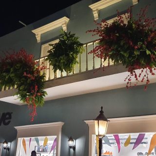 Lakeyard north coast Palm Hills