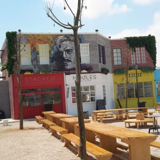 Lakeyard north coast Palm Hills