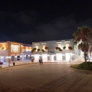 Lakeyard north coast Palm Hills