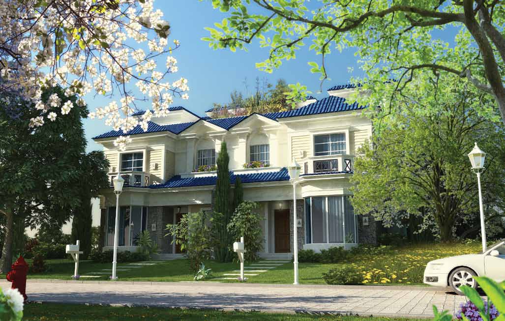 Mountain Park October Compound