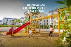 With an area of 317 m² houses and villas for sale in Mountain View October Park