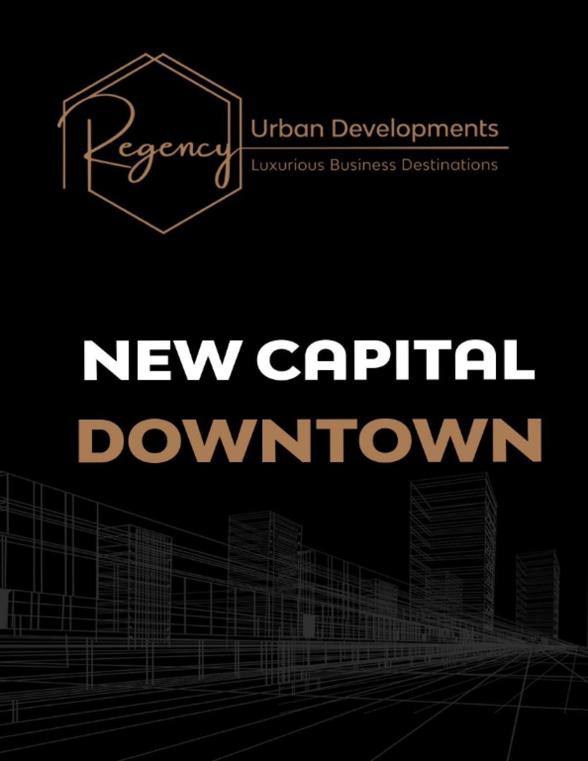 ريجنسي بيزنس تاور العاصمة الإدارية – Regency Business Tower New Capital