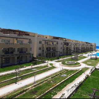 Coronado North Coast The Red Sea Company