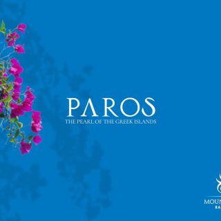 Find out the price of a chalet 140 meter in Paros North Coast