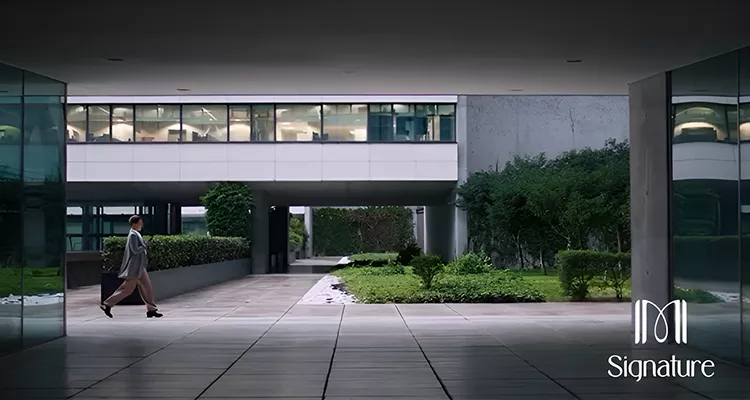 M Signature New Cairo Compound Vantage Developments