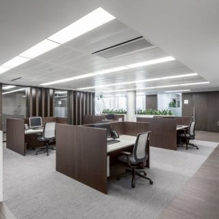 Immediate delivery pharmacy 100 square meters in Pulse Green Square Mall Mostaqbal City