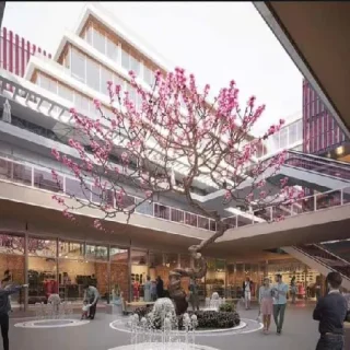 Get an office in Fifty Five Mall of ​​26 meters